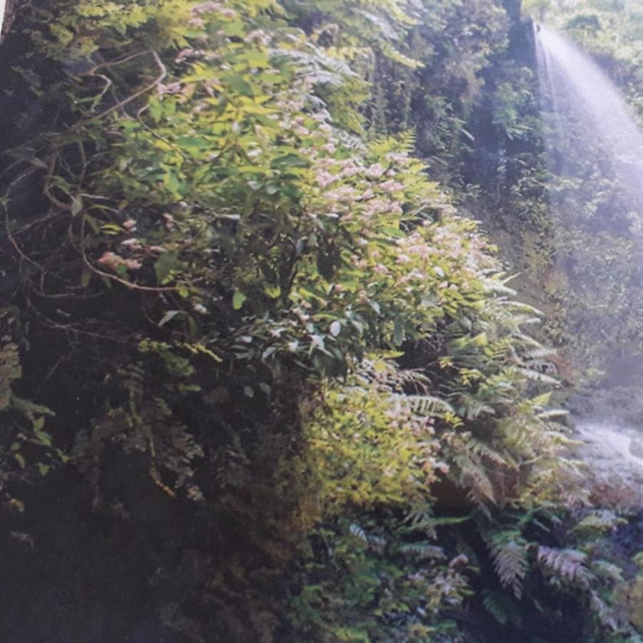 ブレーニャ・バハBrenas Garden C9アパートメント エクステリア 写真